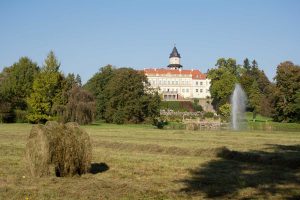 Blick aufs Schloss Wiesenburg und den Schlossteich - entlang des Flämingradweges