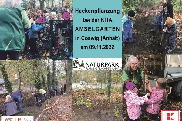 Poster Heckenpflanzung bei der KITA Amselgarten in Coswig am 09.11.2022